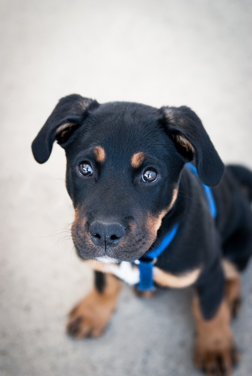 Recuerdos familiares